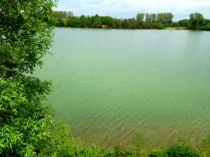 Kottrupsee in Warendorf