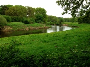 20130510-215854.jpg